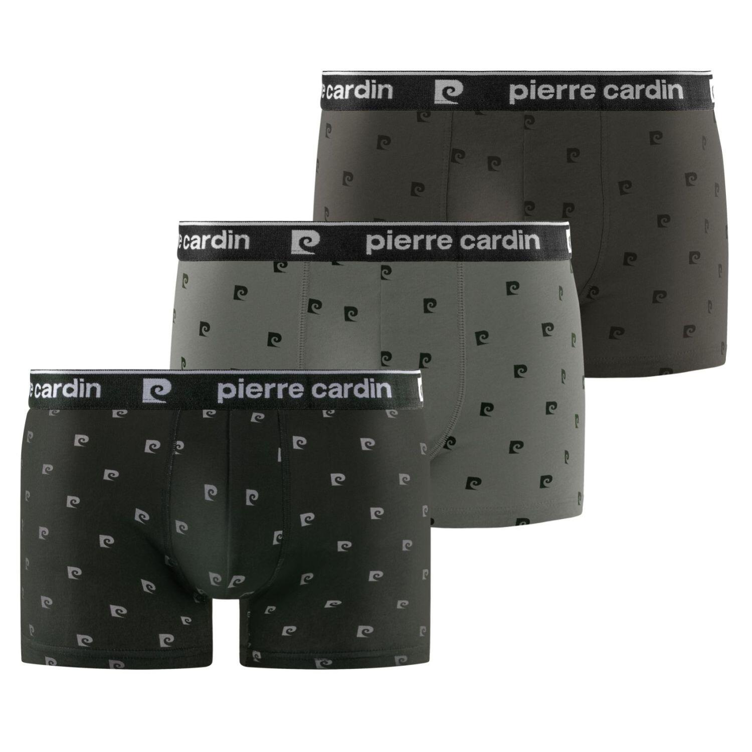 PIERRE CARDIN picture