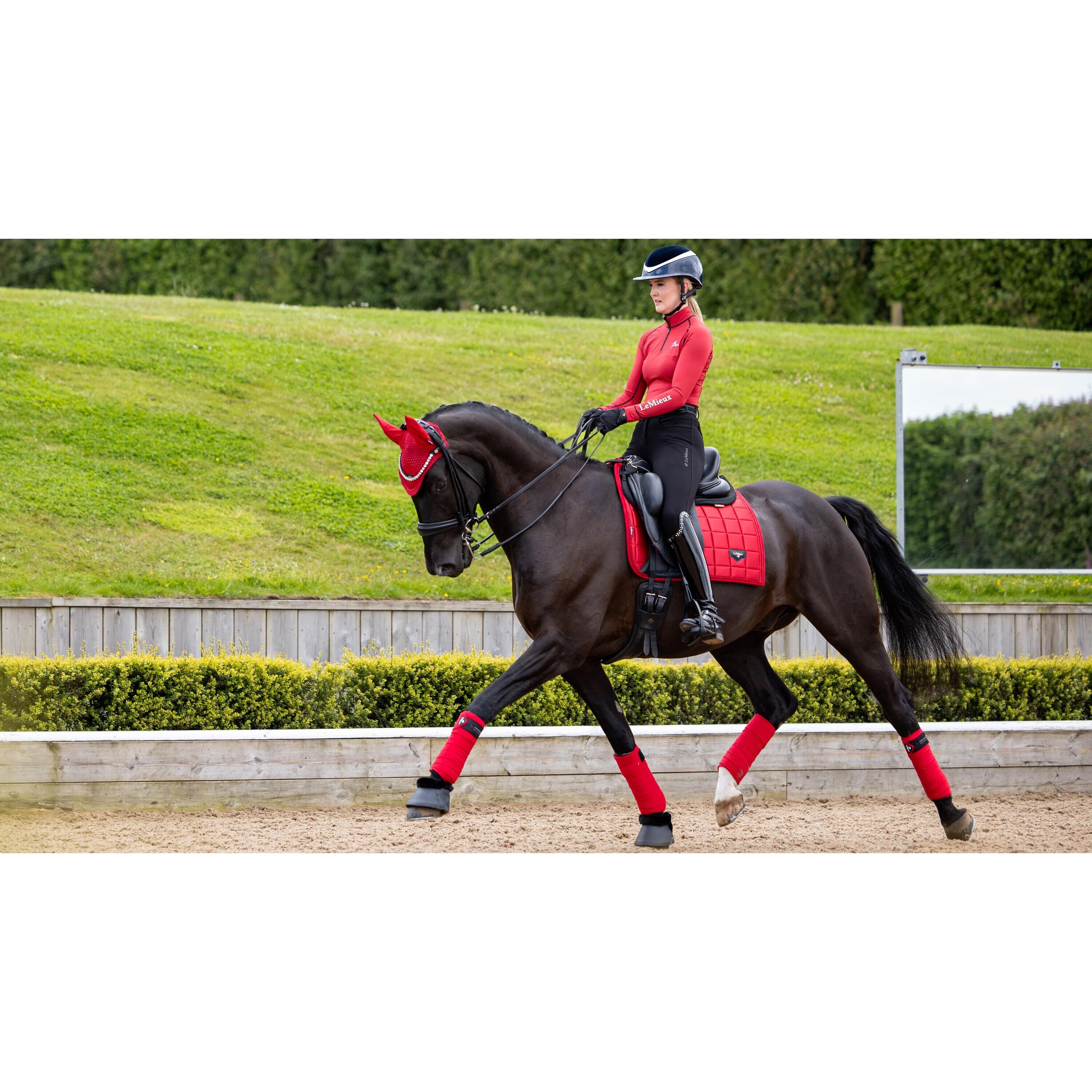 Dressuurmat voor paarden LeMieux Loire Square 5/5