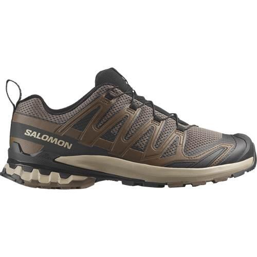 SALOMON picture
