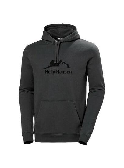 Sweatshirts polaires pour hommes Helly Hansen Nord graphic Gris