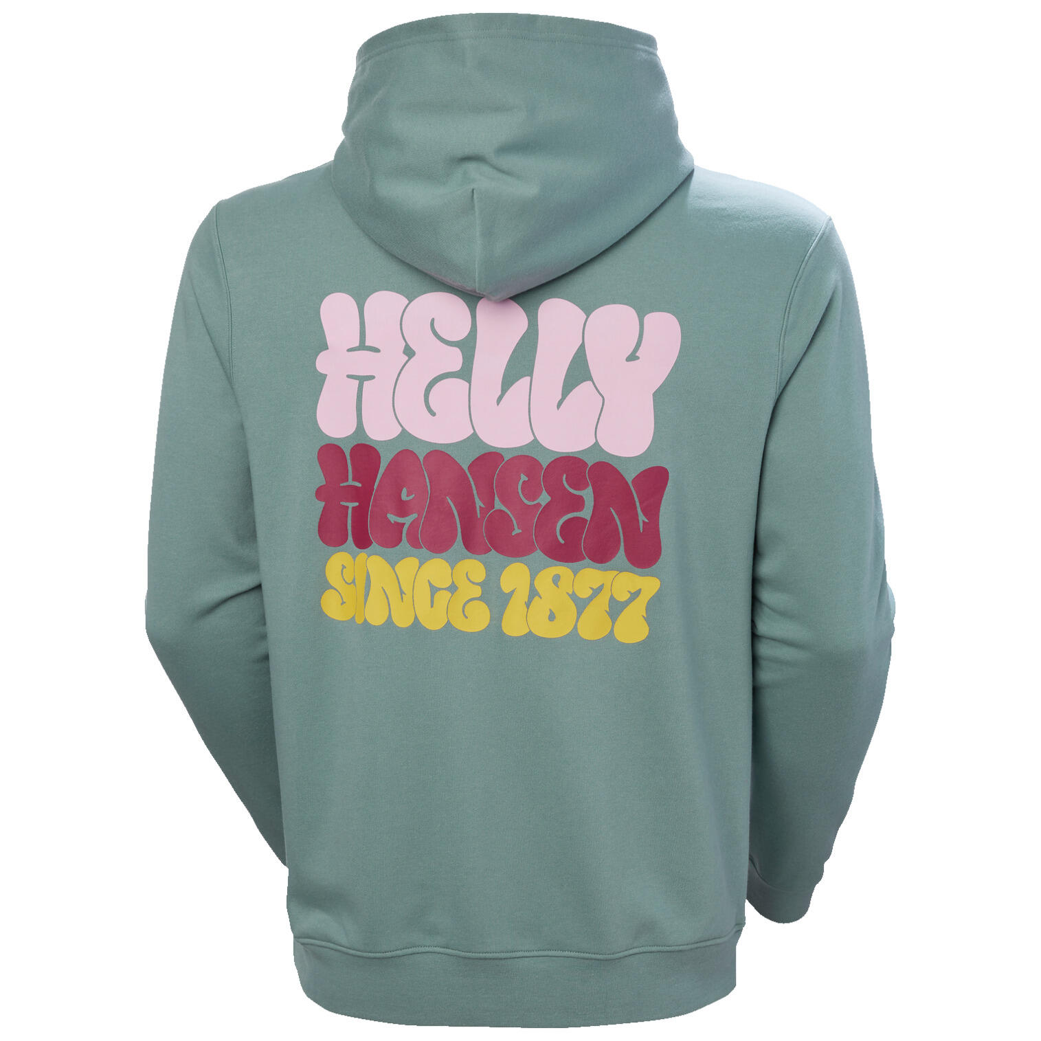 Sweatshirt à capuche Helly Hansen Core Graphic 3/6