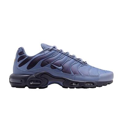 Nike Air Max Plus World Indigo