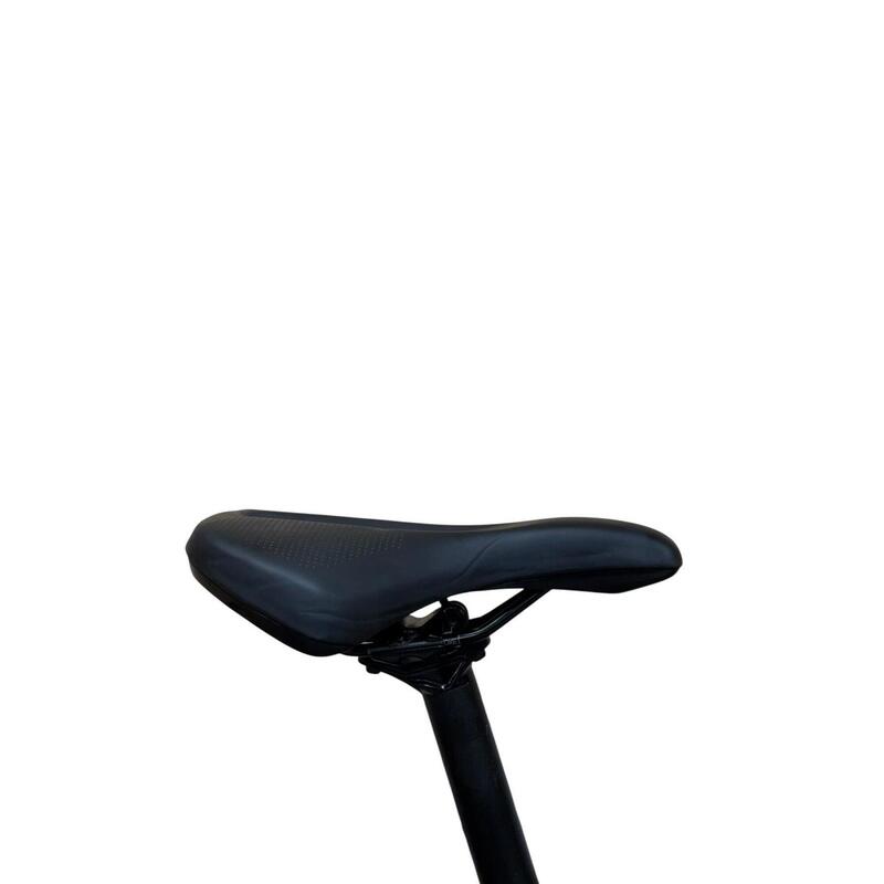 Second Hand - E-Bike Diamant Opal+ Shimano Nexus - Canou