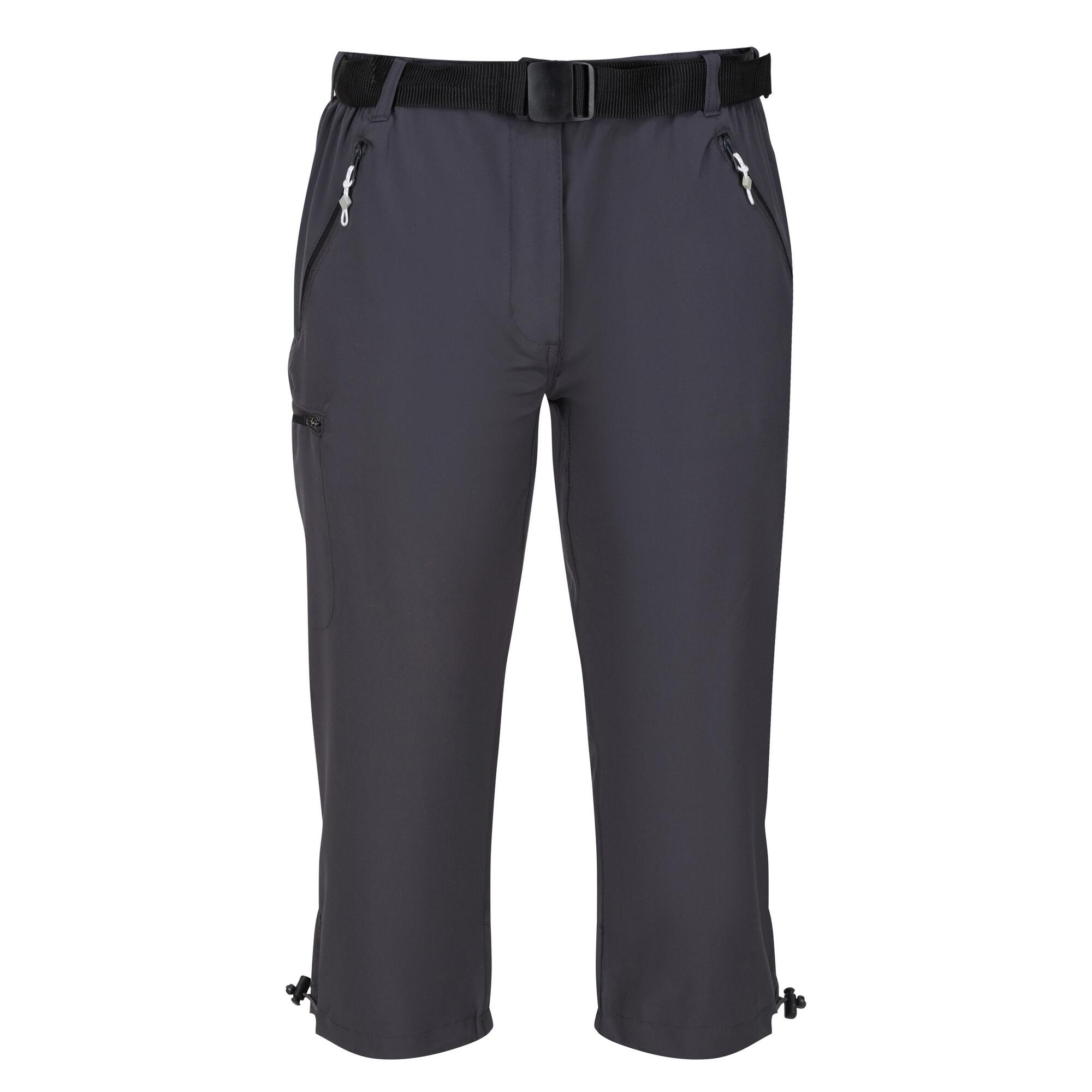 Regatta Dames/Dames Xert Stretch Shorts (Marine