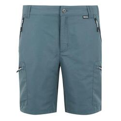 REGATTA Regatta Shorts LeesvilleShrtIII Hommes StormyWeathr