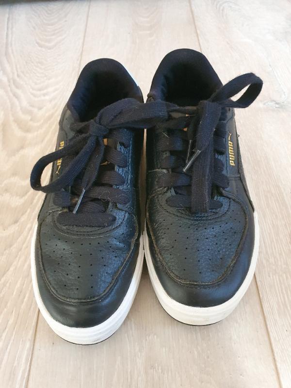 PUMA picture