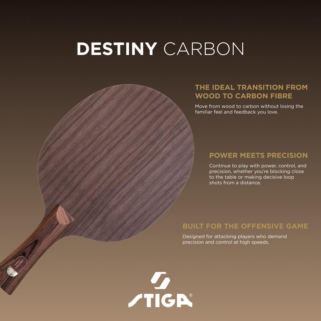 STIGA Legno ping pong Destiny Carbon - Master 5/6