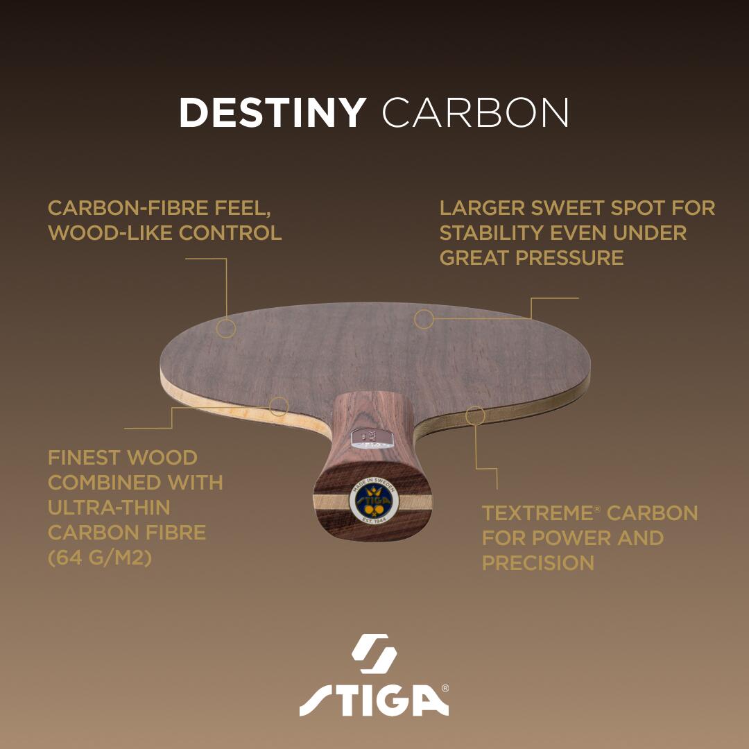 STIGA Legno ping pong Destiny Carbon - Master 6/6