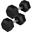 Gantera hexagonala din cauciuc, 20 kg, set de 2 buc