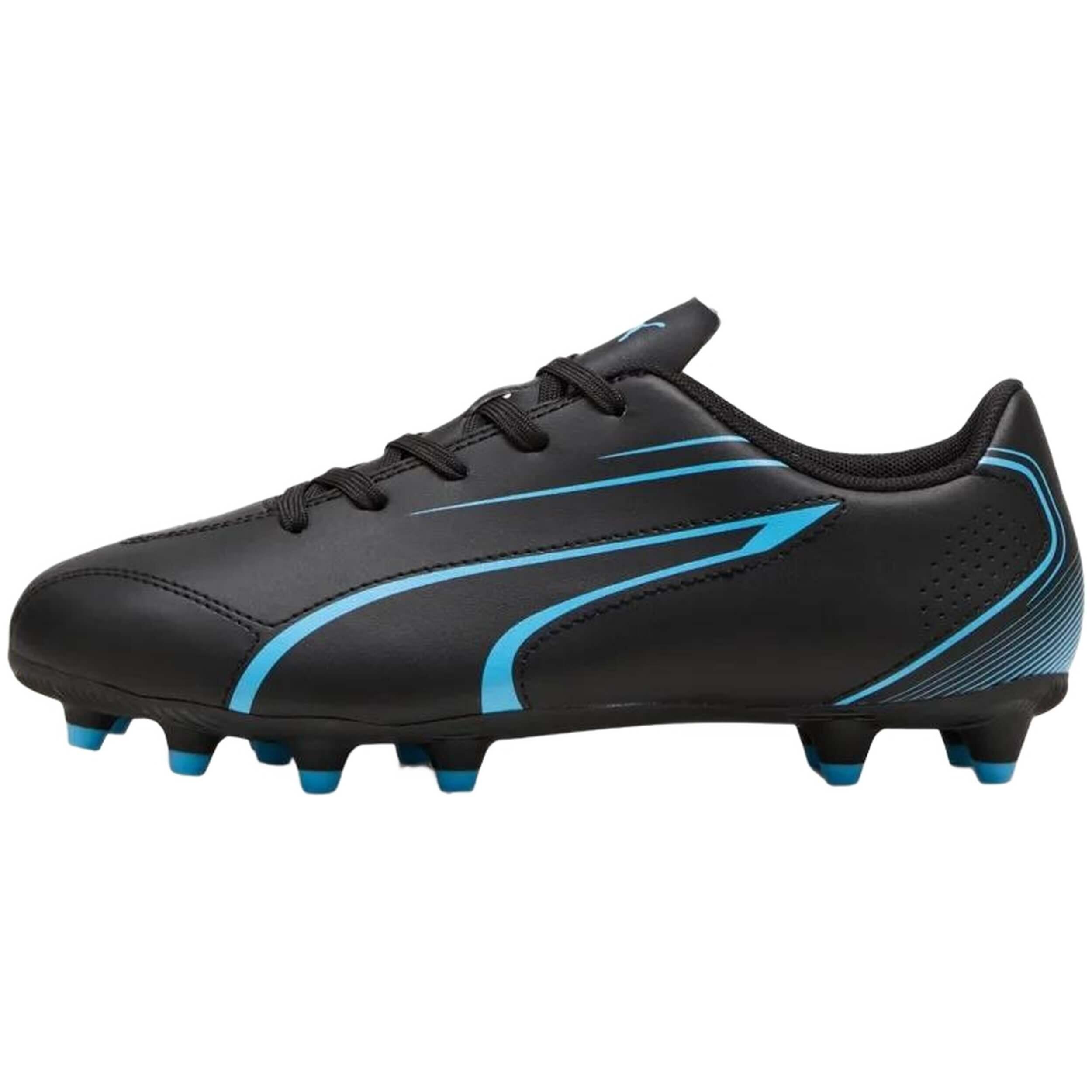 PUMA picture