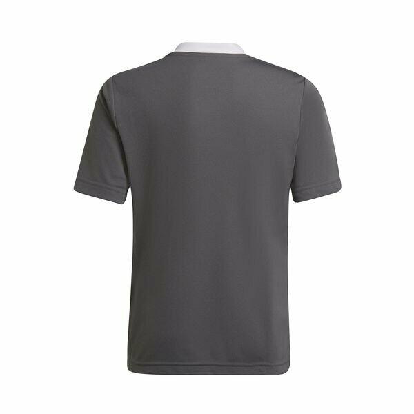 Children's jersey adidas Entrada 22 2/9