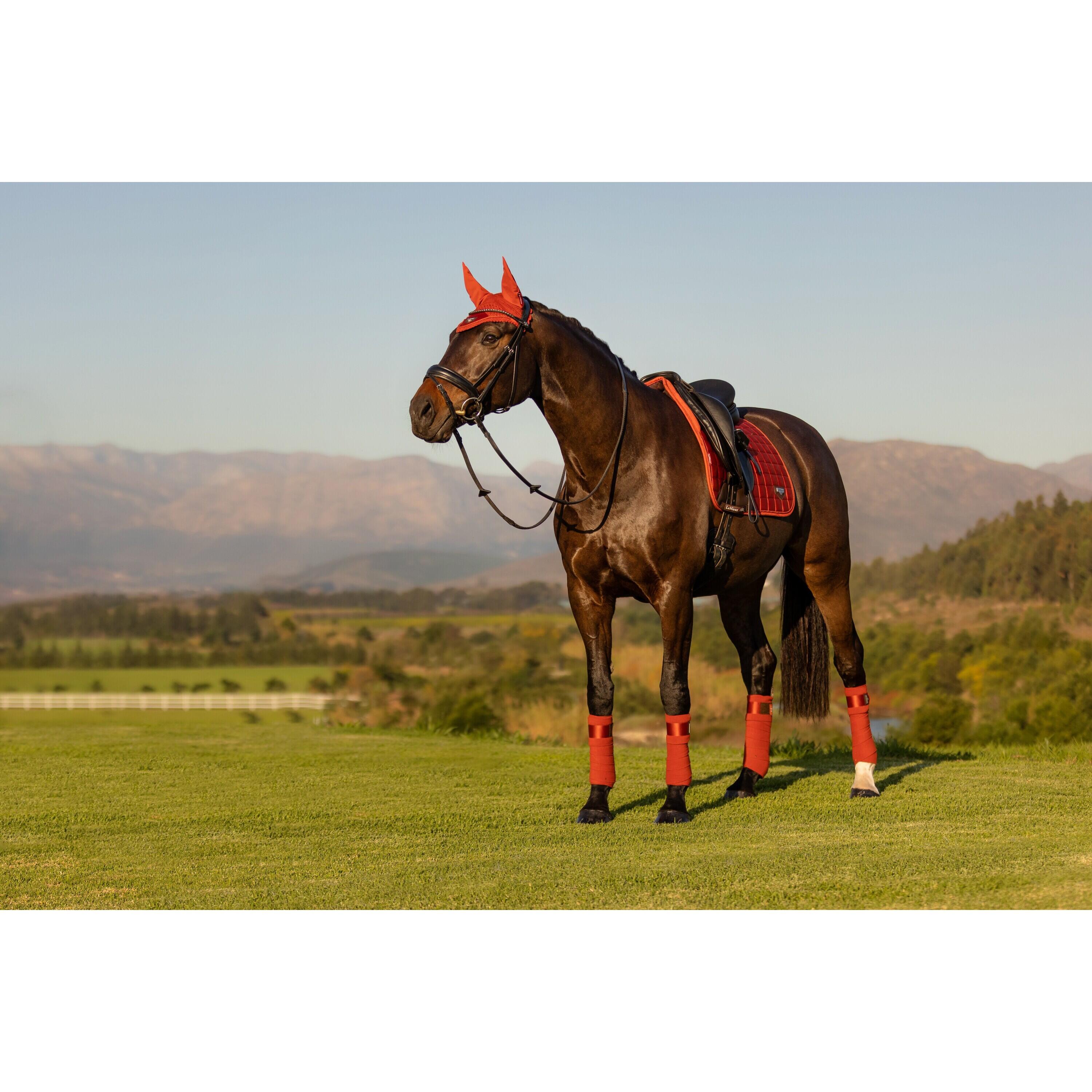 Dressuurmat voor paarden LeMieux Loire Memory 2/3