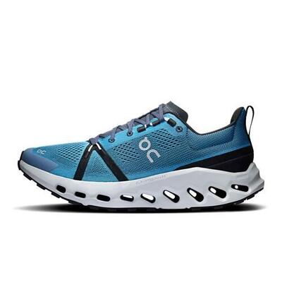 Herren lauf Schuh On Cloudsurfer