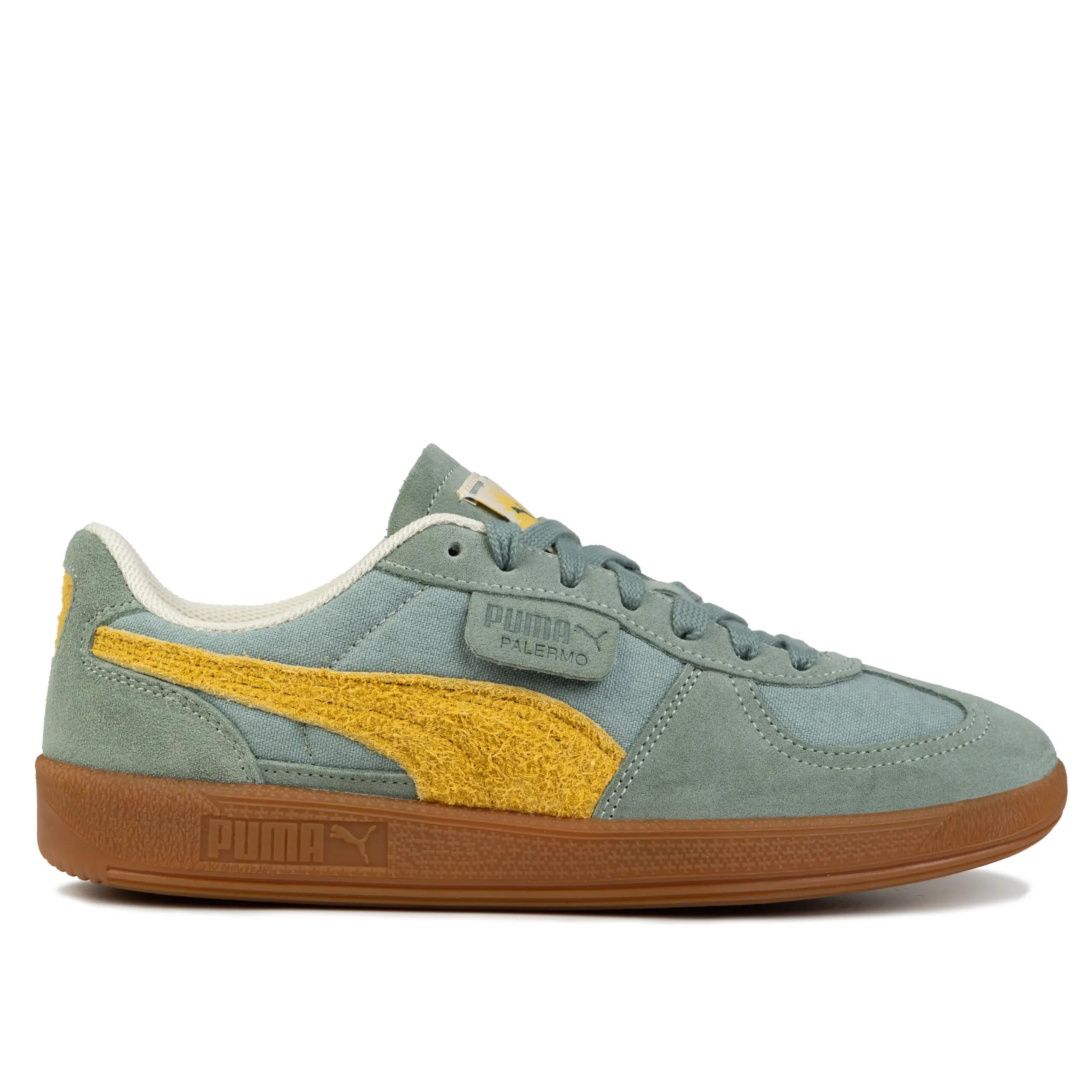 PUMA picture