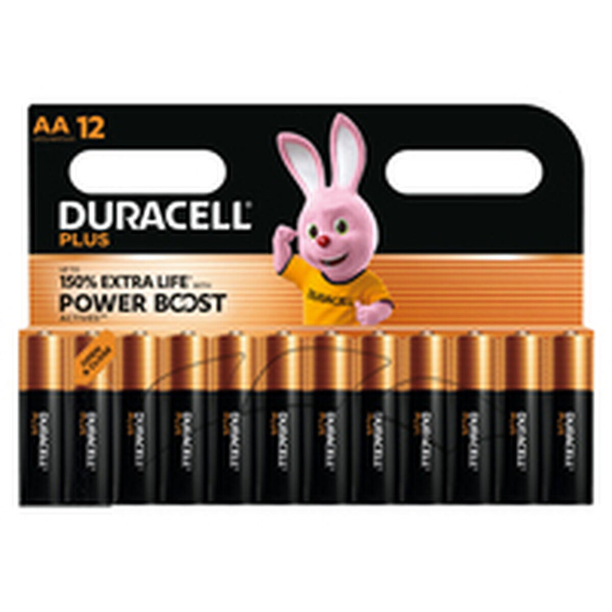 Piles Rechargeables DURACELL DPBLR6B12 1,5 V 3/5