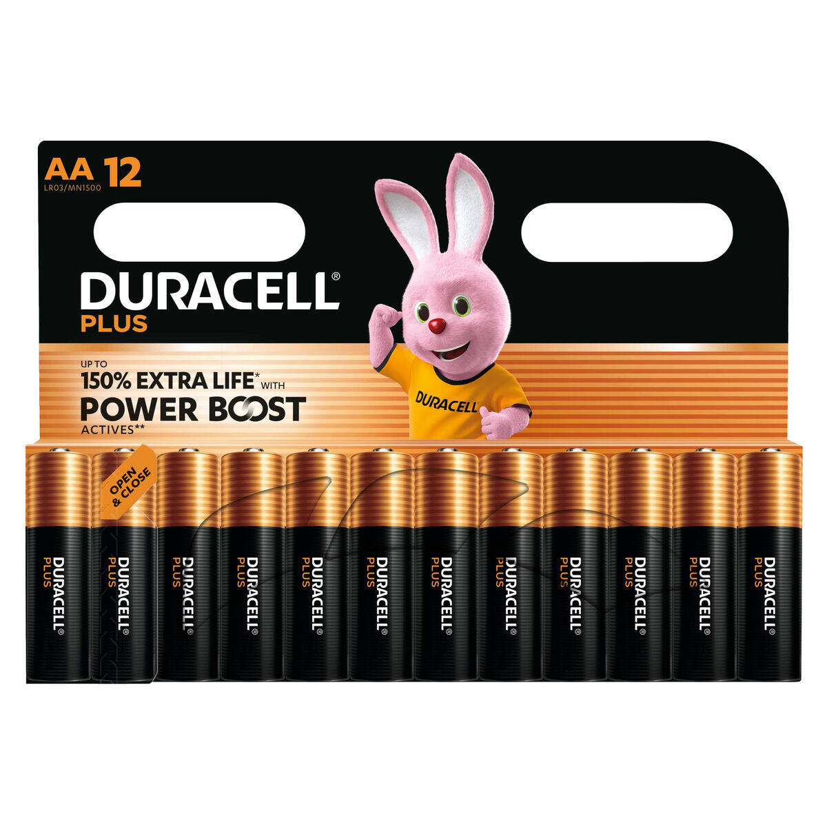 Piles Rechargeables DURACELL DPBLR6B12 1,5 V 2/5