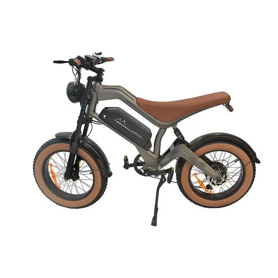 DYU M20 20" Fat Tire elektrische fiets, 48V 18,2Ah verwijderbare accu