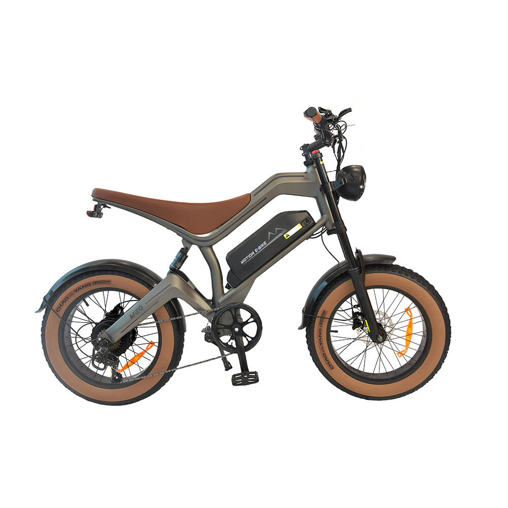 DYU M20 Elektro-Dirtbike 20 Zoll mit 48 V 18,2 Ah Akku