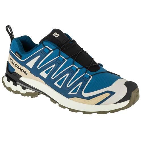 Scarpe Salomon XA Pro 3D V9 GTX Trail Blu/Beige