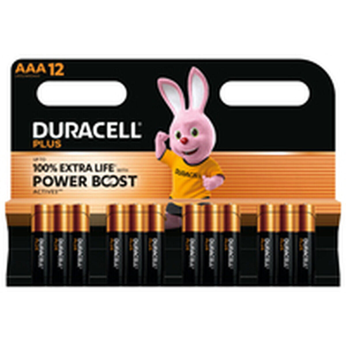 Pilhas Recarregáveis DURACELL DPBLR3B12 AAA 3/5