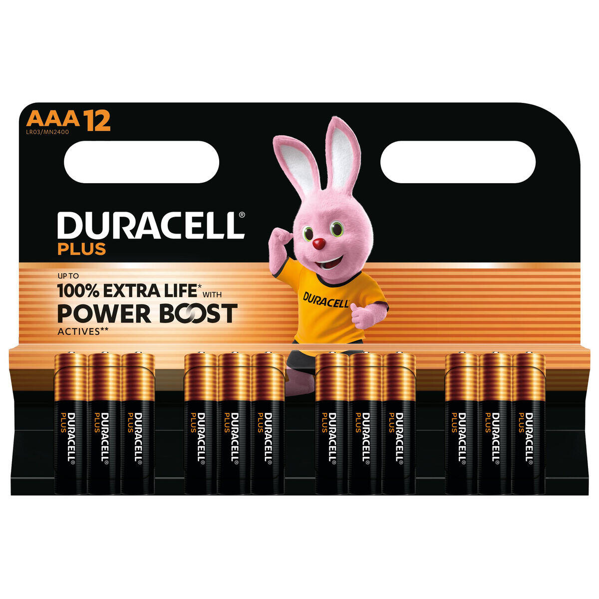 Pilhas Recarregáveis DURACELL DPBLR3B12 AAA 2/5