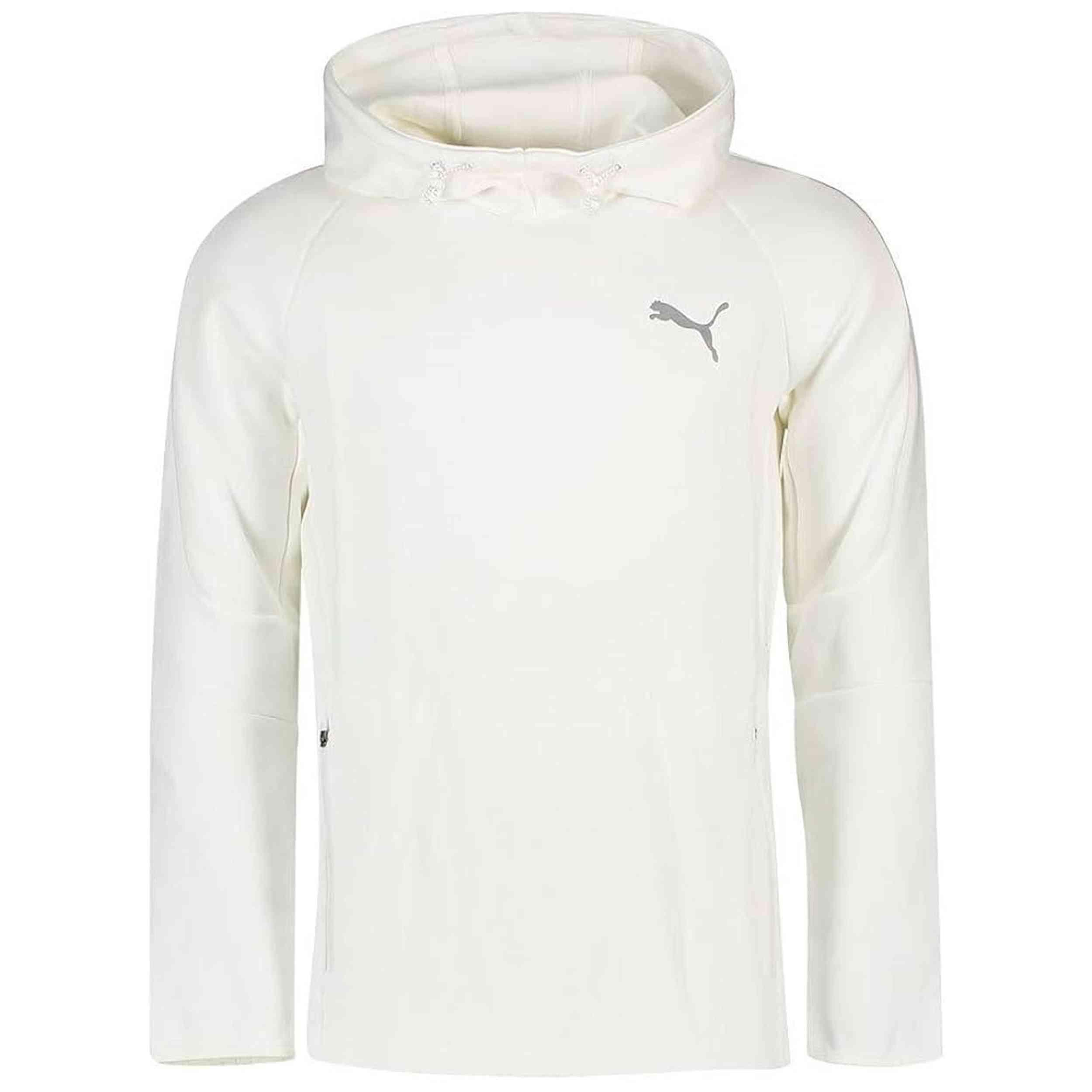 PUMA picture