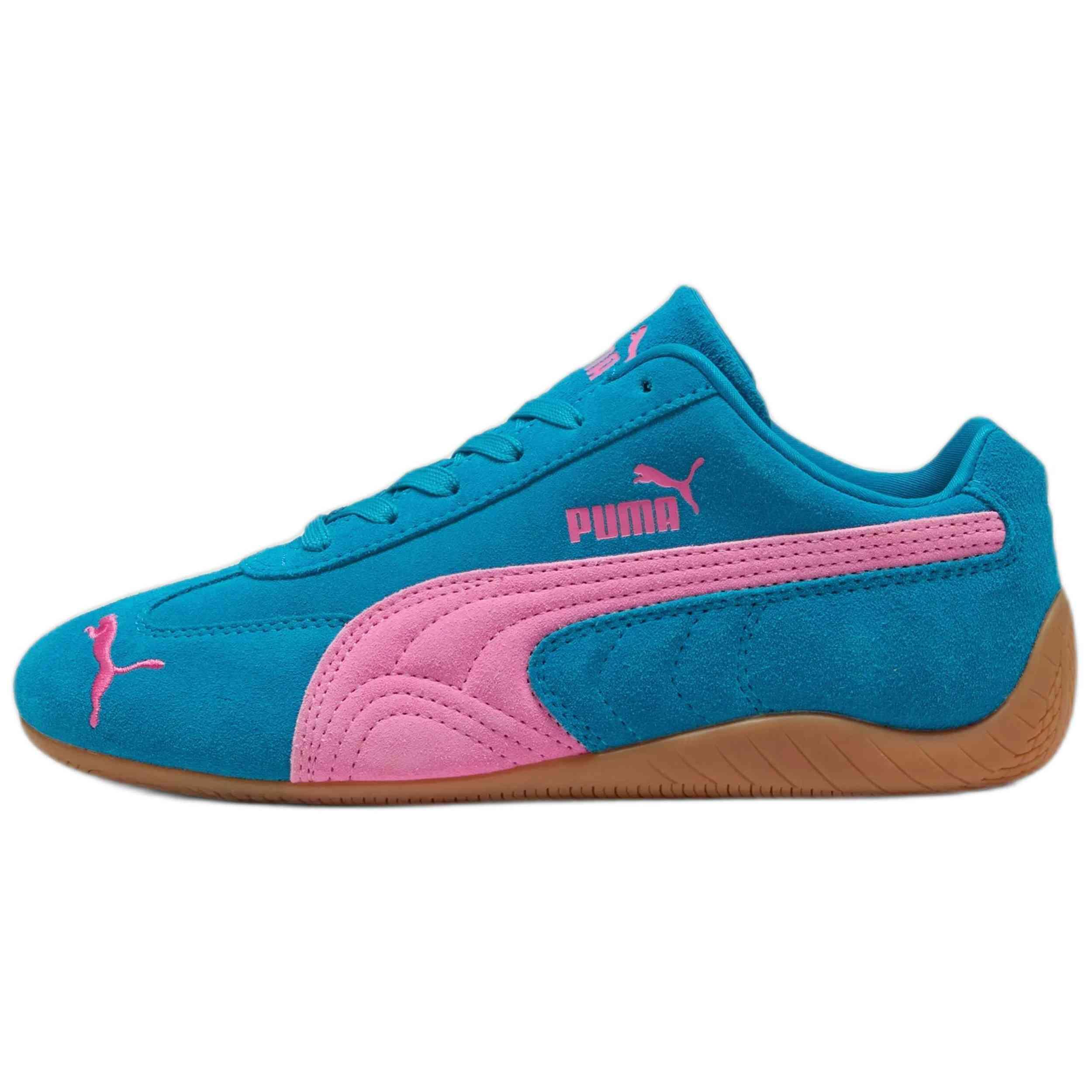 PUMA picture
