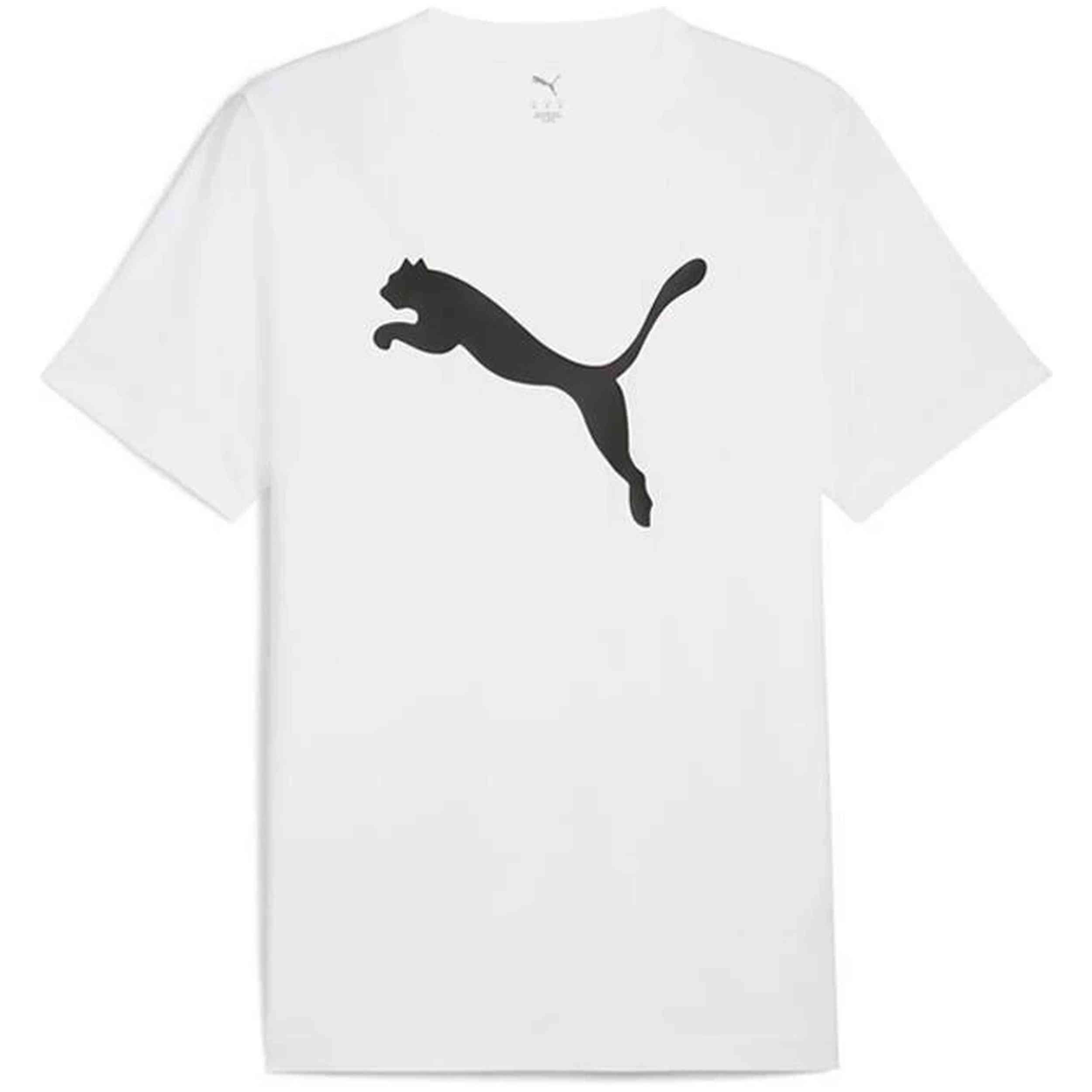 PUMA picture