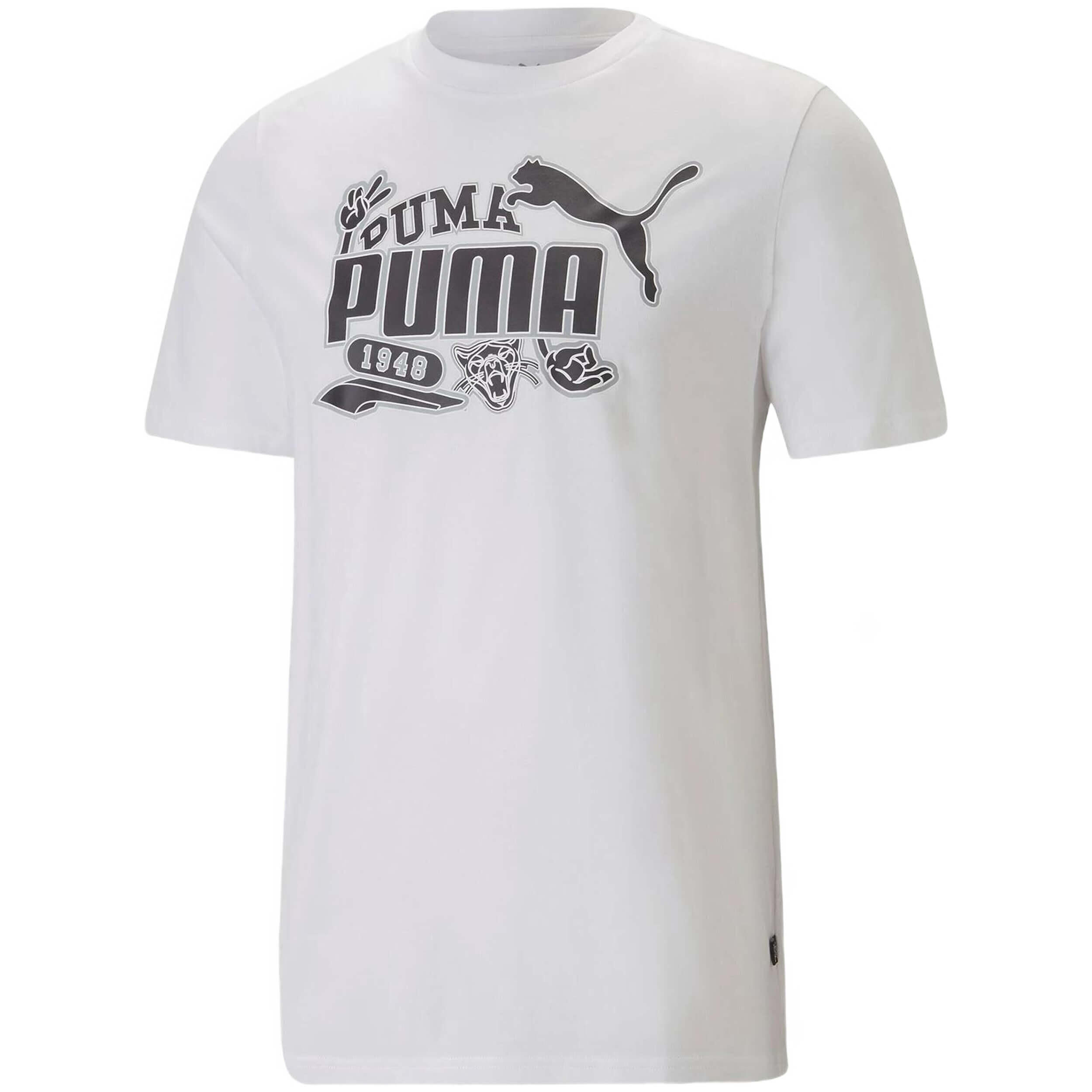 PUMA picture