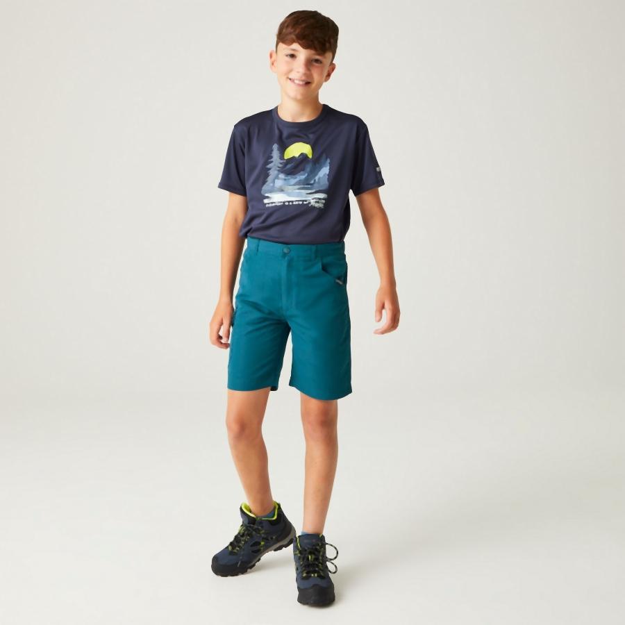 Children's cargo shorts Regatta Sorcer II 2/7