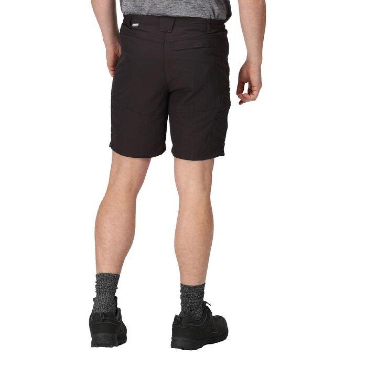 REGATTA Regatta Shorts Leesville Shrt II  Hommes ASH 3/7