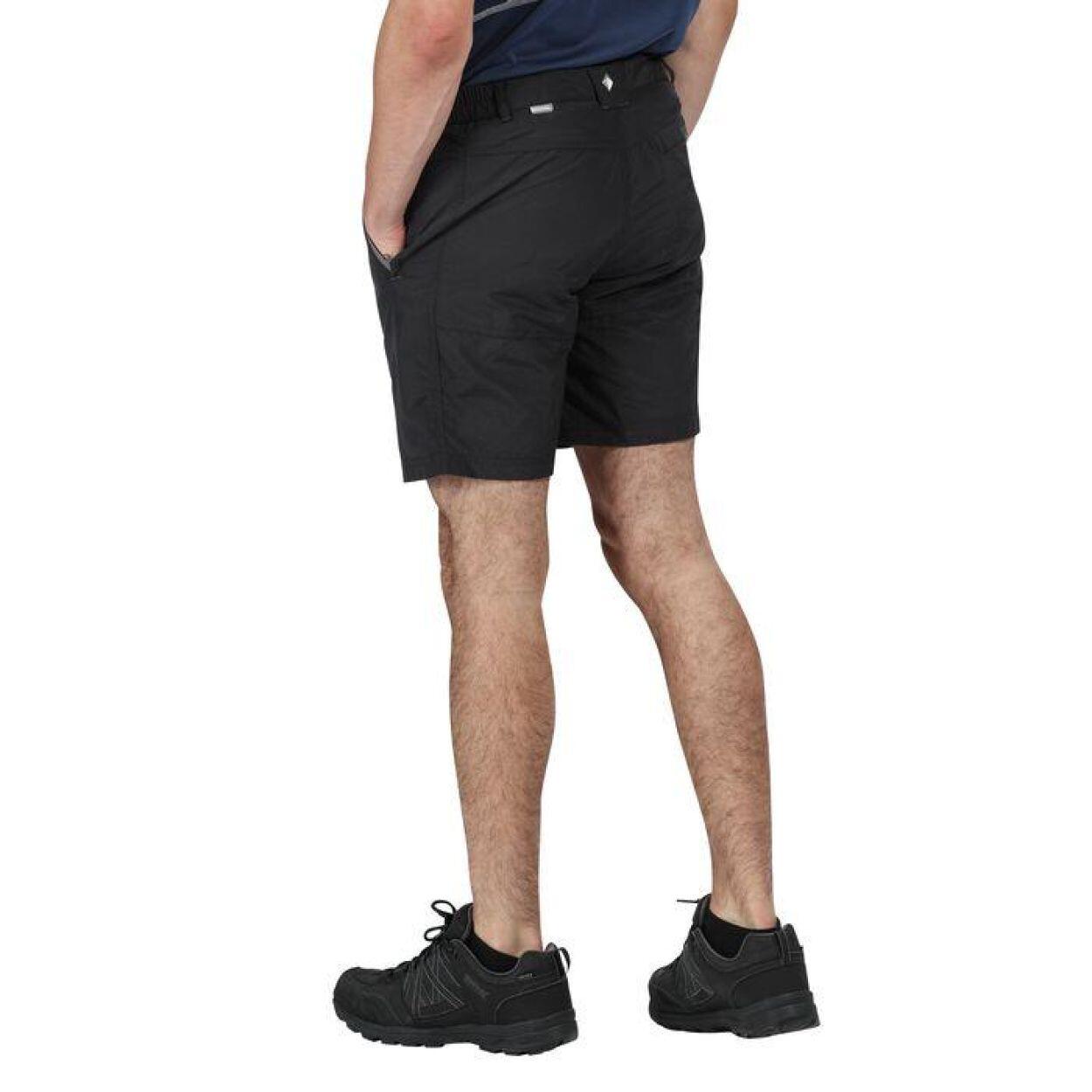 REGATTA Regatta Shorts Leesville Shrt II  Hommes ASH 2/7