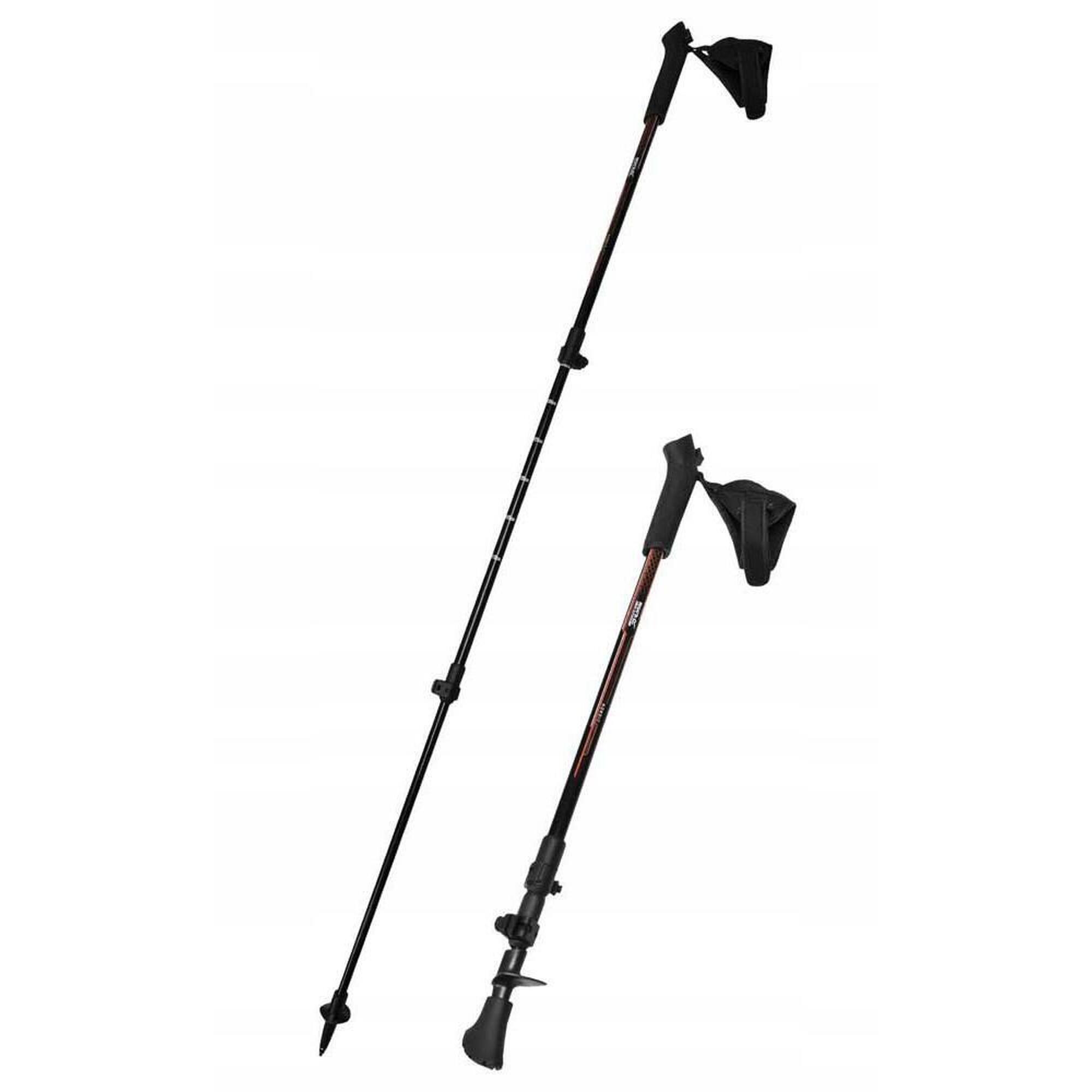 Kije nordic walking EU223