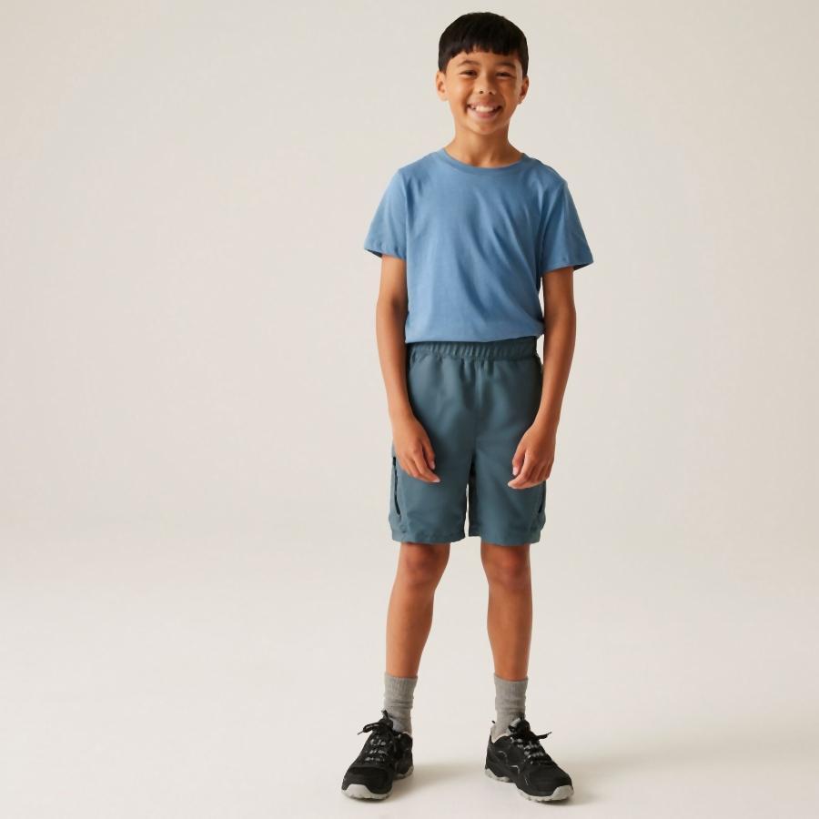 Pantalón corto outdoor Regatta Sorcer Shorts III RKJ143-S7G unisex junior gris 2/7