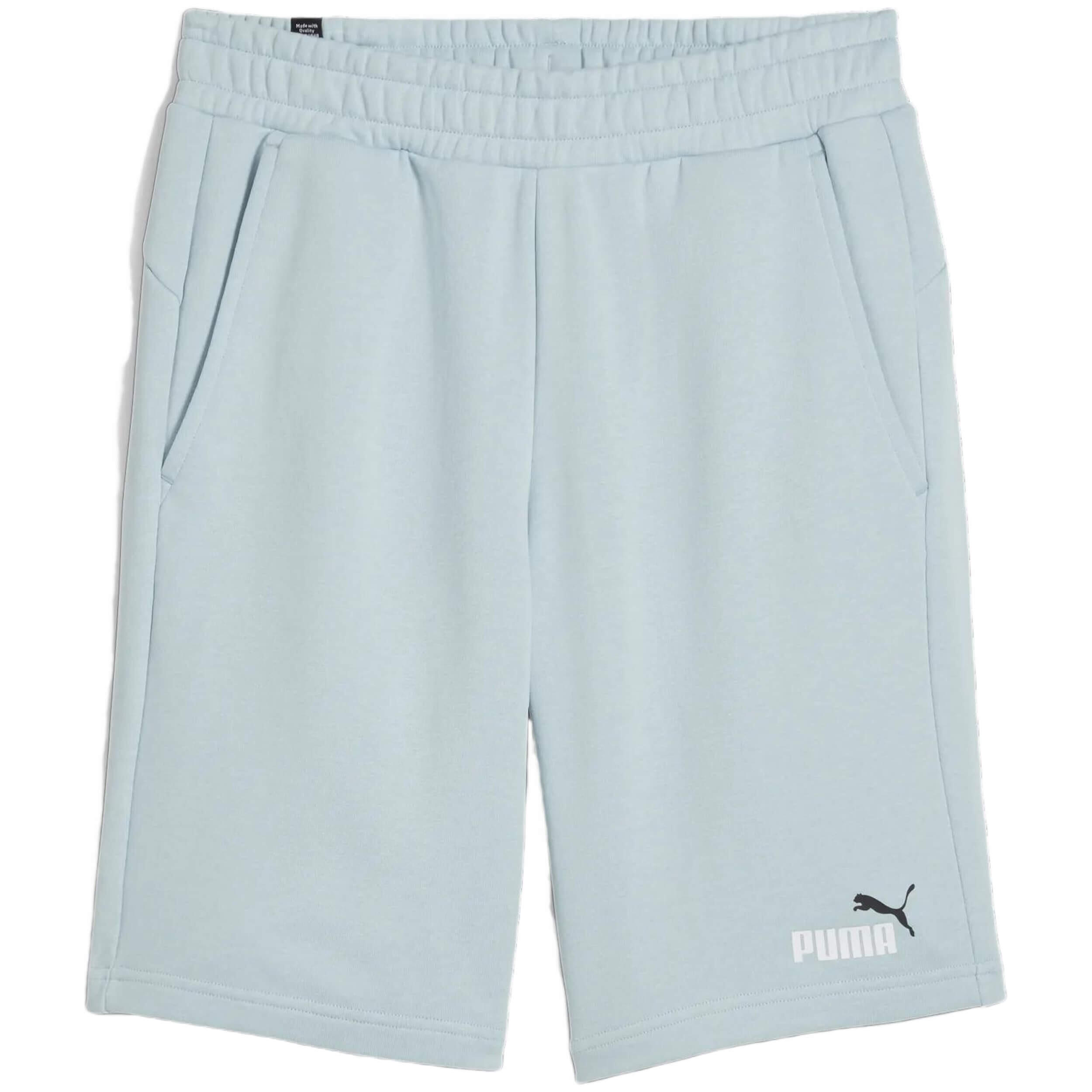 PUMA picture