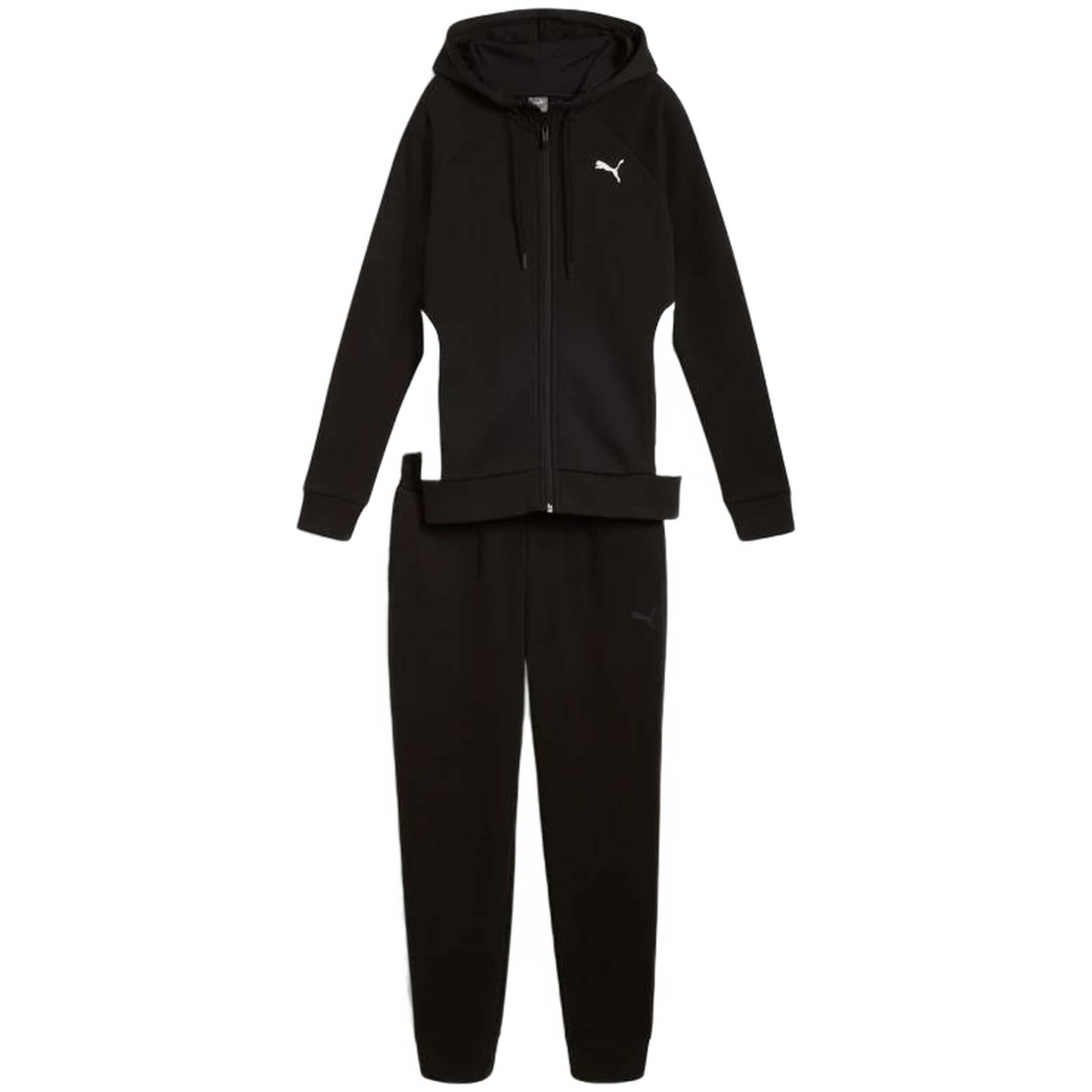 PUMA picture