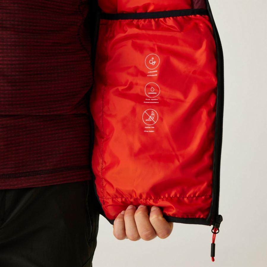 Hooded jacket Regatta Leedre 3/7