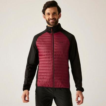 Veste Clumber hybride matelassée isolante pour homme