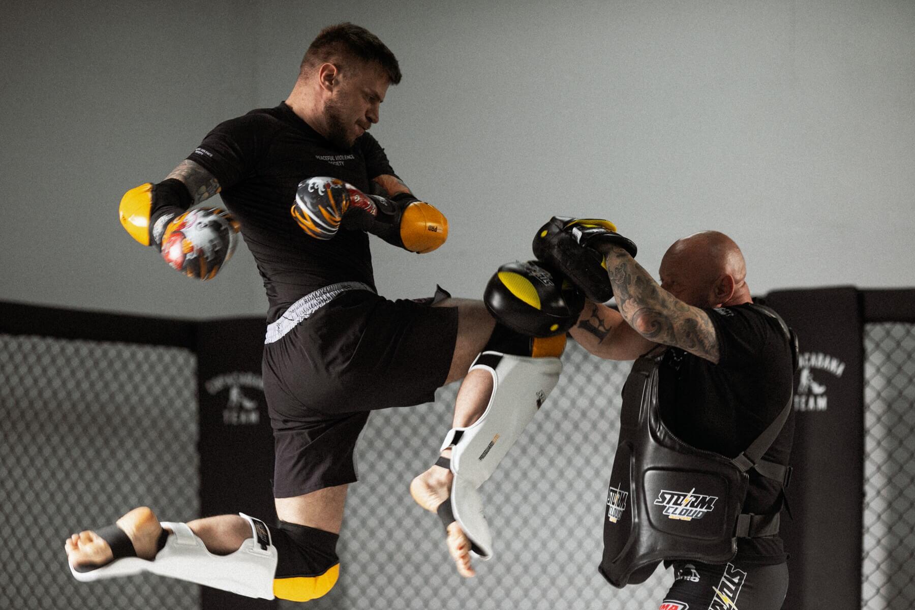 Rękawice bokserskie ze skóry naturalnej Boxing StormCloud Pro Daisho ONI 14 2/7