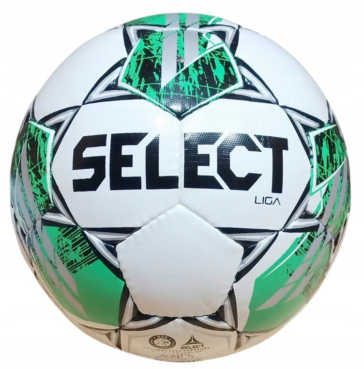 SELECT picture