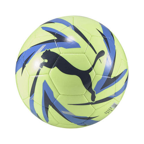 PUMA picture