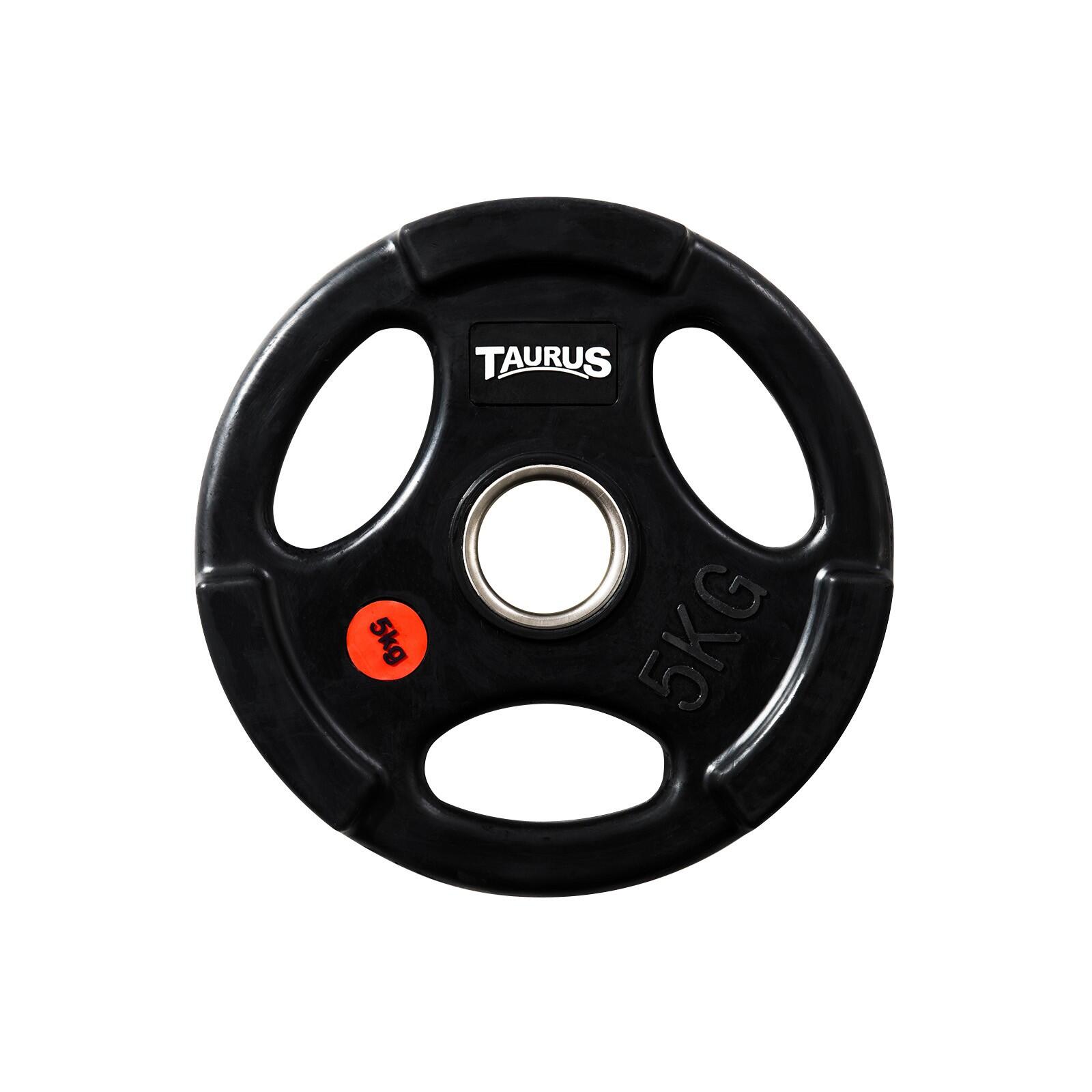 TAURUS picture