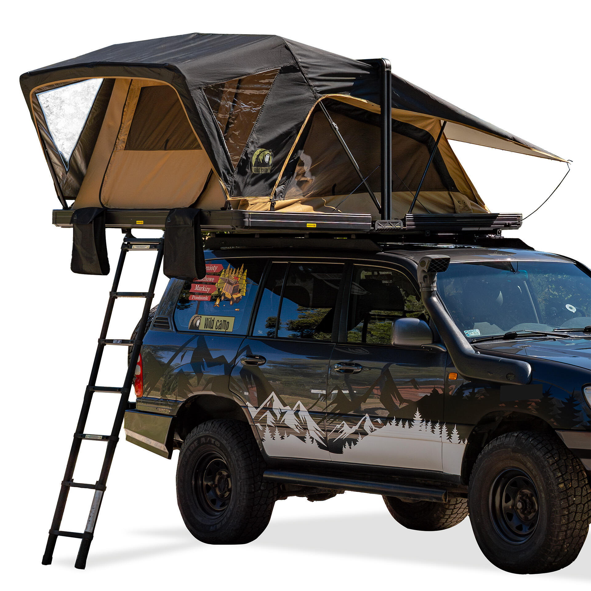 WILD CAMP picture