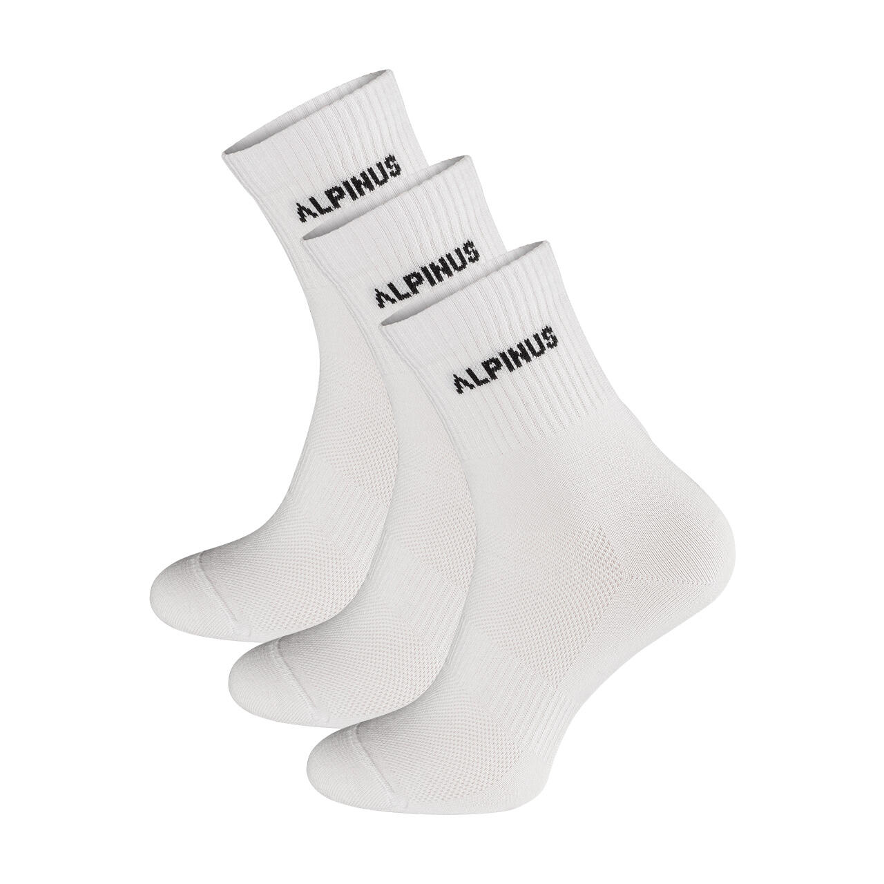 ALPINUS picture