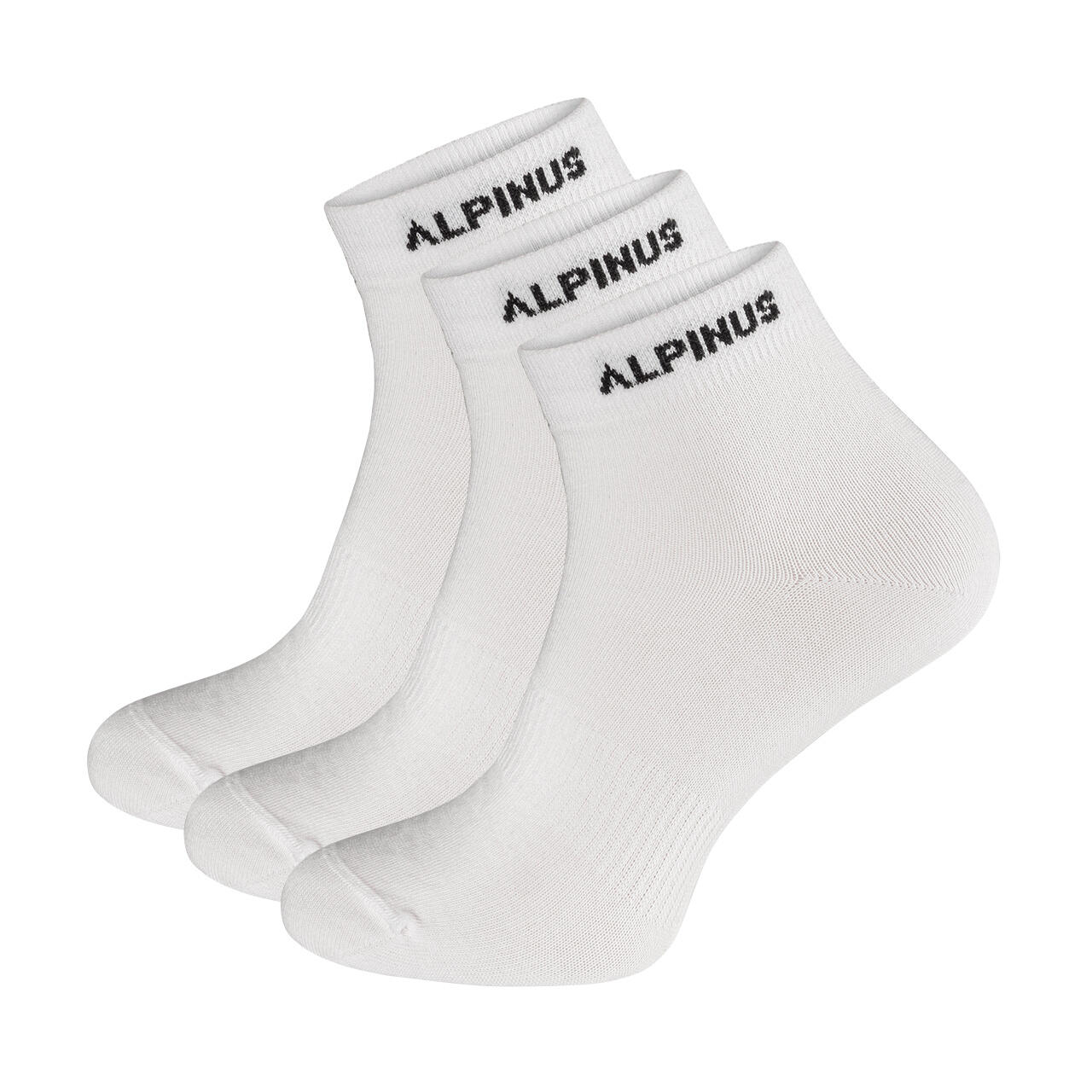 ALPINUS picture