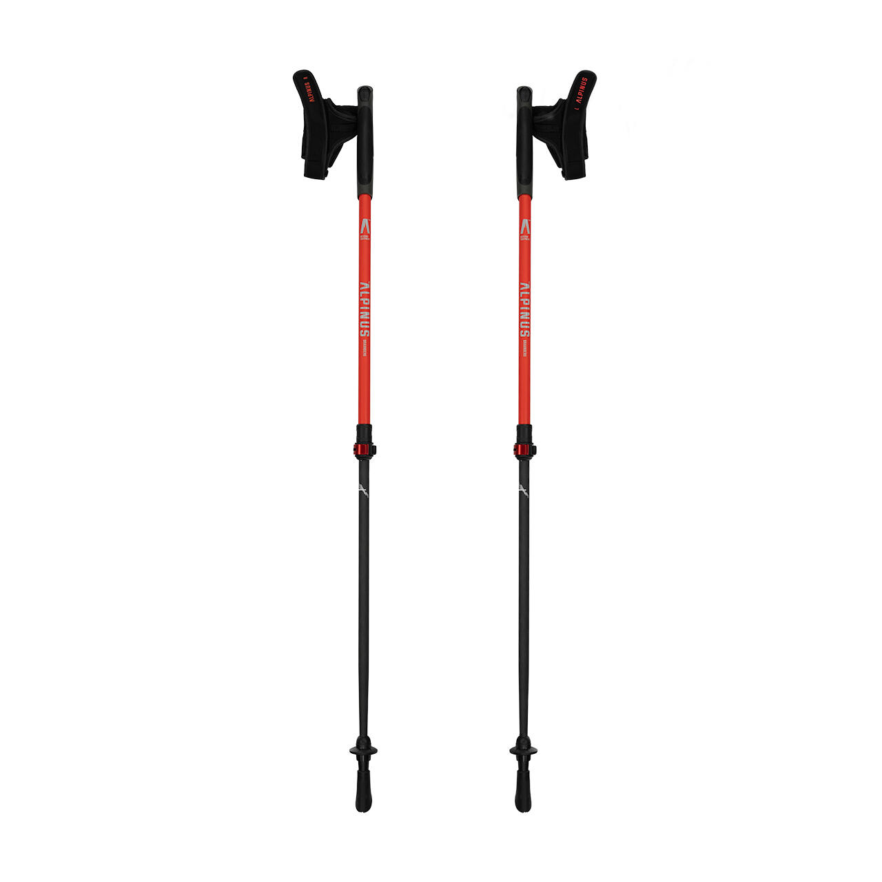 Nordic walking stokken Alpinus Braunberg