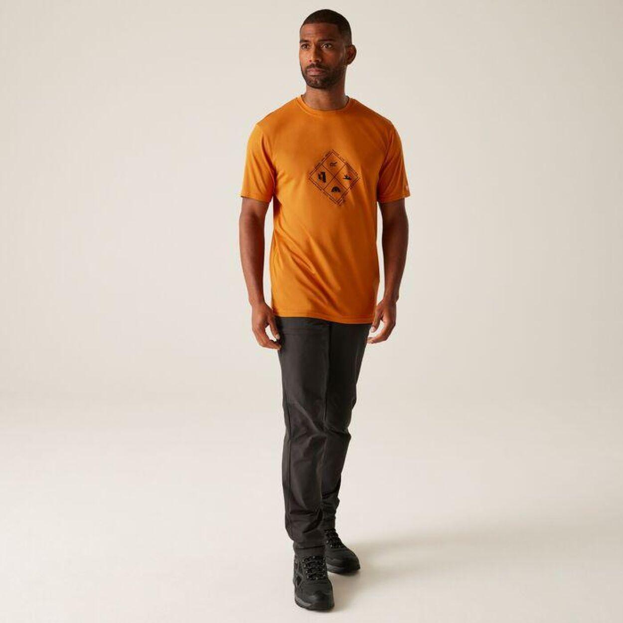 Camiseta deportiva Fingal Stretch, hombre, marrón 3/5