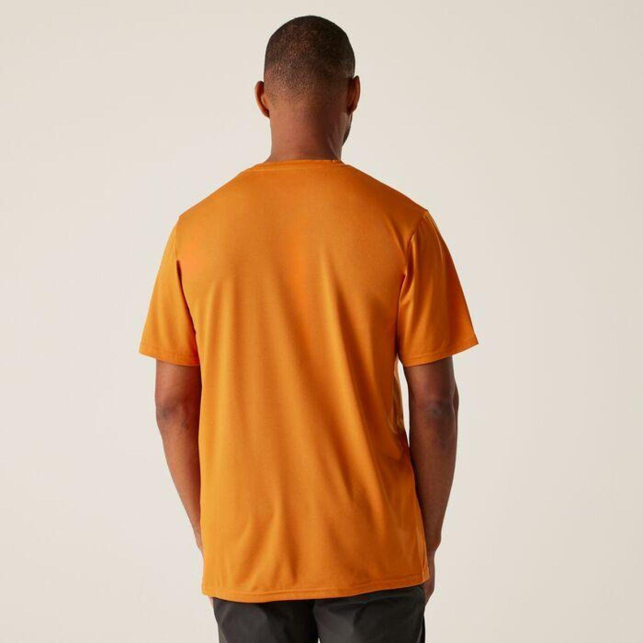 Camiseta deportiva Fingal Stretch, hombre, marrón 2/5