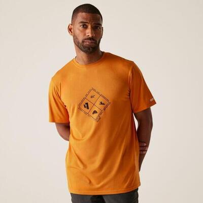 Regatta regatta t-shirts fingalstretch heren fox