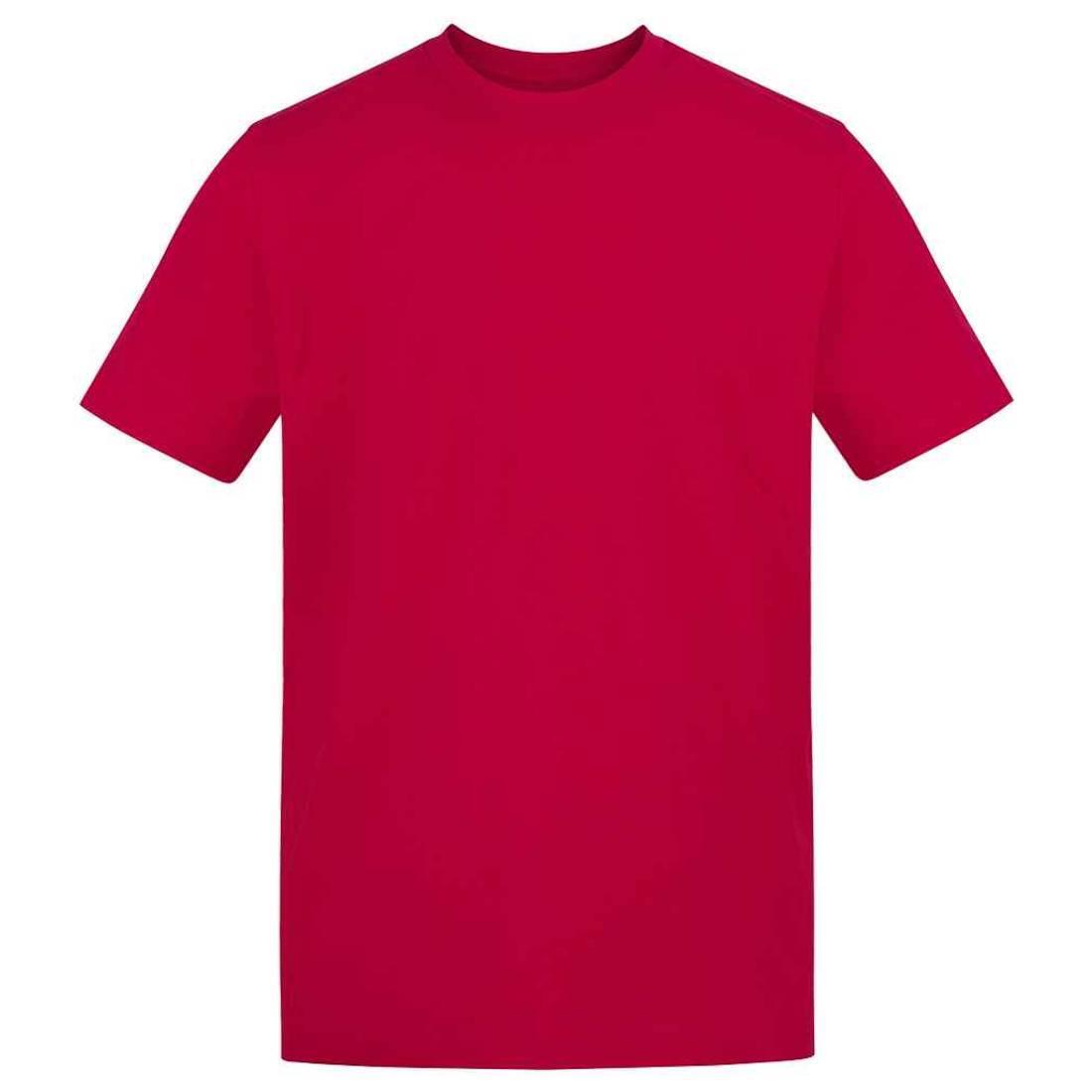 Awdis Unisex Adult Cotton T-Shirt